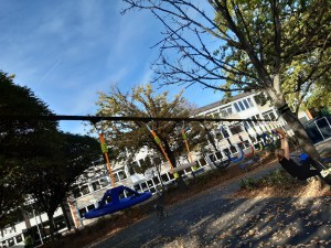 Klettern an der Slackline
